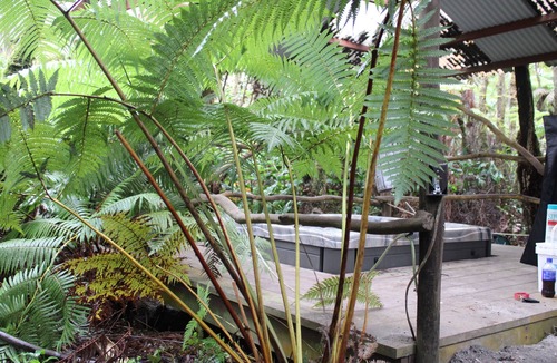 Volcano Cabin | Peaceful Volcano lodge with a hot tub