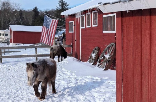 Parksville RV Rental | Peaceful Woods Glamping Tent