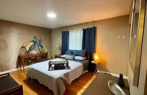 St. Louis Apartment | Peacock Paradise