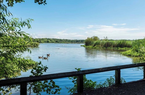 Fleet Apartment | Peak @ Fleet Heights - Apartment Four