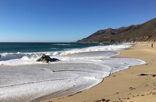 Del Monte Forest House | Pebble Beach forest hideaway!