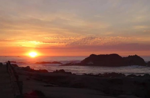 Del Monte Forest House | Pebble Beach forest hideaway!