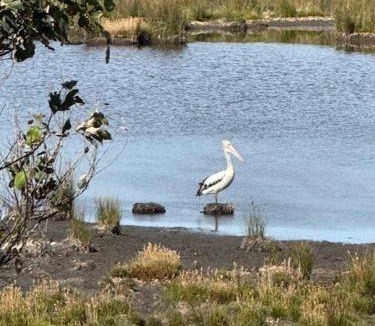 Princetown Cabin | Pebble Point