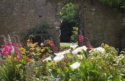 Brixham Apartment | Pebbles (pet friendly)