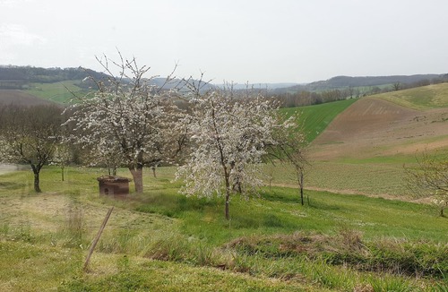 Saint-Amans-du-Pech House | Pech Ferrat, Pleine Campagne sur 1 Ha Arboré, vue sur la Vallée et les Coteaux
