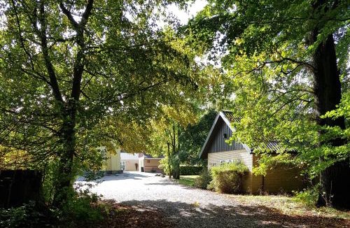 Torrig Apartment | Pederstrup Bed and Breakfast