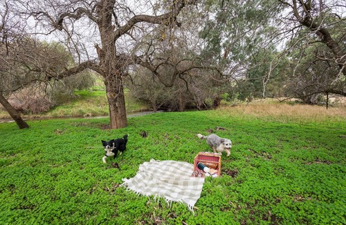 McLaren Vale House | Pedlar Creek Tiny House by Tiny Away