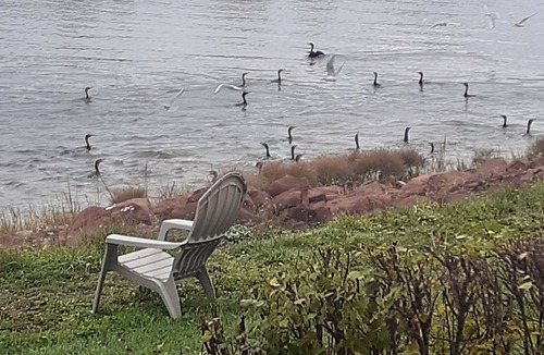 Cardigan Apartment | PEI Waterside Apt. #4, Quiet waterfront Apt, scenic view, sunsets