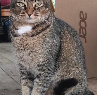 Naalehu House | Peles Eye