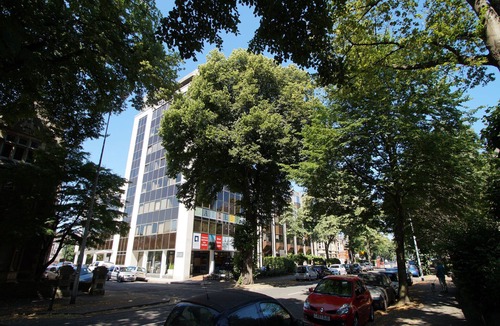 Pontcanna Apartment | Pen Dinas Cardiff Apartment