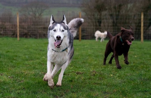 Bethania Cabin | Pencastell Views Pod with Stunning Views