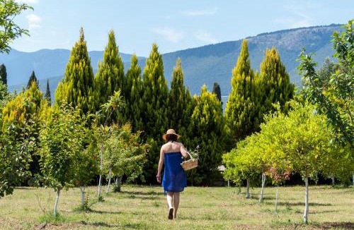 Sami Villa | Penelope Villas