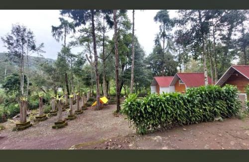 Rancabali House | Penginapan Cimanggu forest