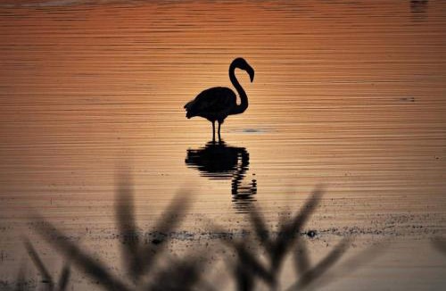 Villeneuve-les-Maguelone Boat Rental | Peniche Alphonsia Maria
