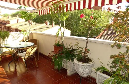 Guadalajara House | Pensión El Otero