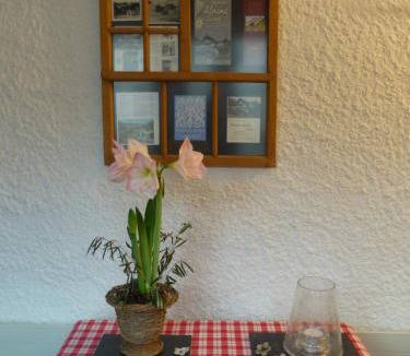 Lenk Hotel | Pension Alpina