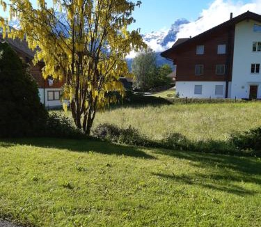 Lenk Hotel | Pension Alpina