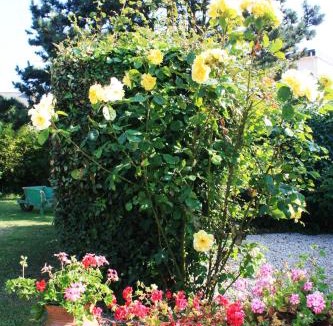 Roscoff Hotel | Pension de Kerioual