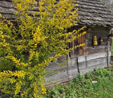 Lonja House | Pension Sava Turizam