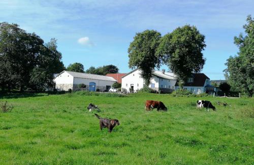 Rodding House | Pension Slotsgaarden jels