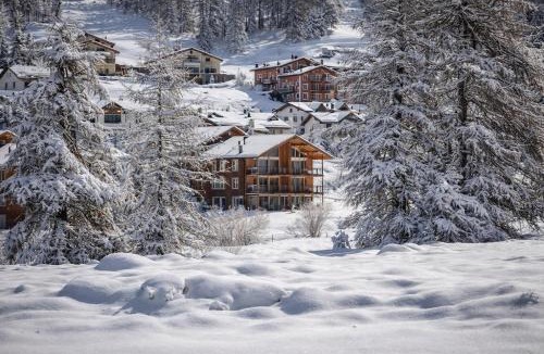 Pontresina Apartment | Penthouse duplex with sauna & mountain views