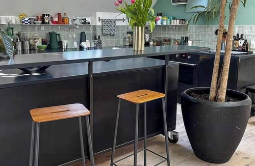København V Apartment | Penthouse with plants and art near Kødbyen
