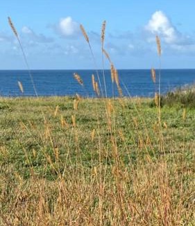 Plogoff House | Penty de La Pointe du Raz