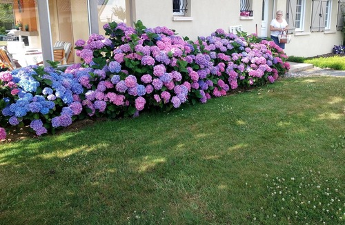 Malaunay Bed & Breakfast | PEONY ROOM