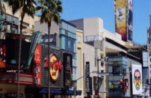 Hollywood Apartment | Perfect Hollywood Studio in a great location!