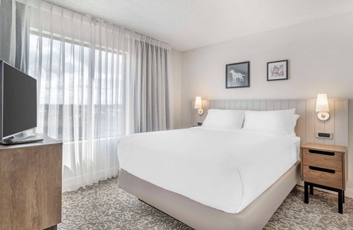 Downtown San Antonio Hotel | Perfect Home Base for Exploring Alamo City! Pet-Friendly! Free Buffet Breakfast!