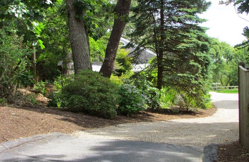 Brewster Cottage | Perfect Location, Private, Immaculate, Affordable, East Dennis Cape Cod