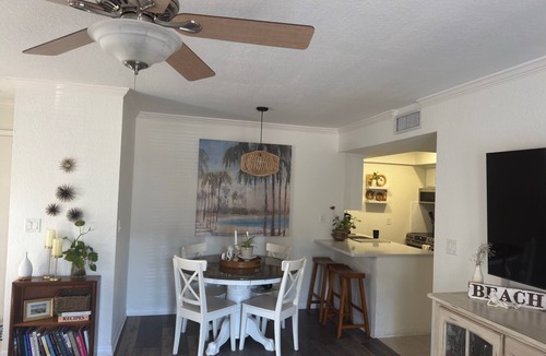 Dunedin Condo | Perfect Location, walk to Downtown Dunedin!