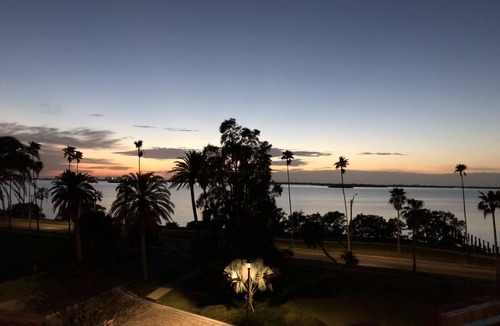 Dunedin Condo | Perfect Location, walk to Downtown Dunedin!