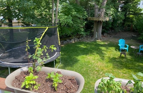 Larchmont House | Perfect Open Space Home in Quality Kid Friendly Neighborhood