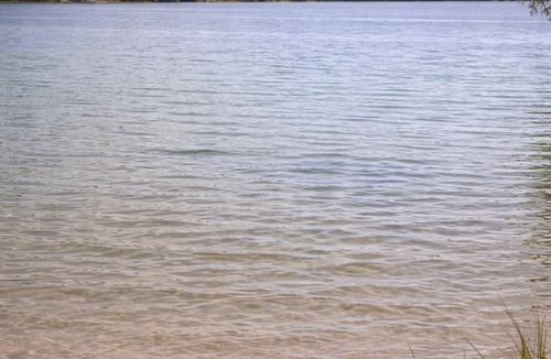 Tweed RV Rental | Perfect outdoor setting for camping, events, and waterfront enjoyment.