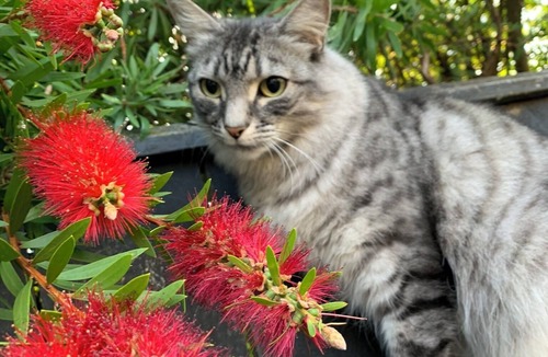 Paraparaumu Beach House | Perfect summer holiday home