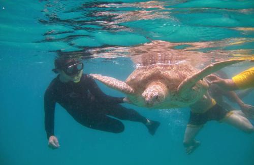 Pulau Perhentian Kecil Bed & Breakfast | Perhentian Chomel Chalet