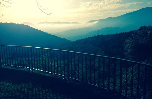 Peri House | Peri: House with garden