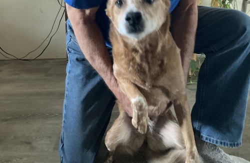 Eagle Point House | Personal Space Wi fi and Quiet View