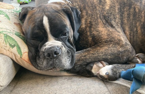 Eagle Point House | Personal Space Wi fi and Quiet View