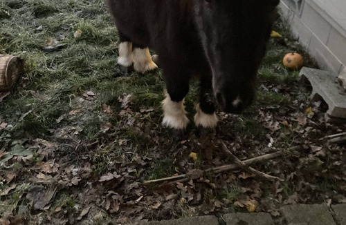 Eagle Point House | Personal Space Wi fi and Quiet View