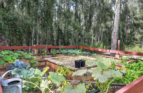 St. Georges Basin House | Pet friendly, Waterfront - Jervis Bay