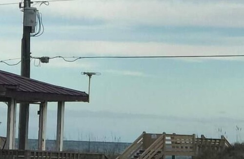 Ocean City Beach Other | Pet Friendly Beach Cottage and Crashing Waves!