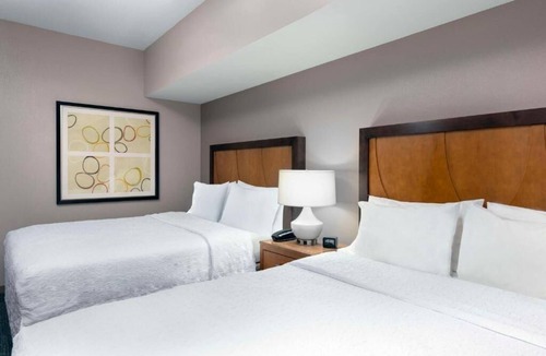 North Clayton Hotel | Pet-Friendly and Modern Room for Families Near St. Louis Zoo and Cultural Sites