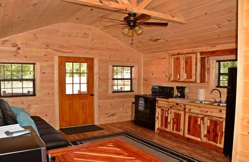 Buchanan House | PET FRIENDLY 🐾 Cabin#2 Swan Bay Cabins & RV Park, Paris Tn, Kentucky Lake