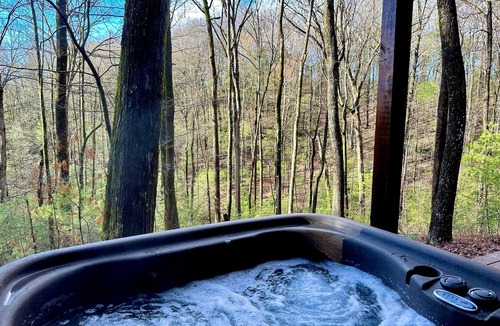 Ellijay Cabin | Pet-Friendly Cabin in the Woods w/HOT TUB! Secluded, Cozy, 2,000' Up!