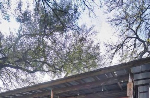 Smithwick Cabin | Pet-friendly cabin with hot tub