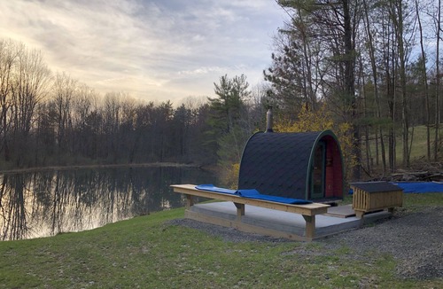 Willseyville Cabin | Pet-friendly Cabin with Authentic Sauna Situated Next To Private Spring-fed Pond