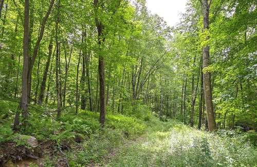 Marble Dale Cabin | Pet-Friendly Connecticut Cabin w/ Deck & Fire Pit!
