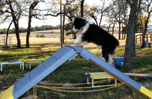 Paige House | Pet-Friendly Getaway with a Hot Tub near Austin Texas